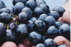 Ma confiture de raisins maison vegan