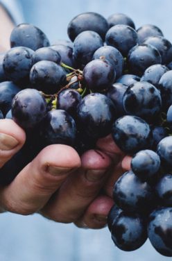 Ma confiture de raisins maison vegan