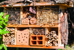 Créer un hôtel à insectes en famille