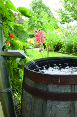 Le tonneau récupérateur d’eau de pluie