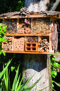 Créer un hôtel à insectes en famille