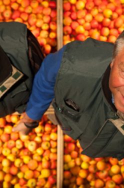 Rencontre : Les Côteaux Nantais-producteur-pommes-bio