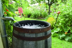 Le tonneau récupérateur d’eau de pluie