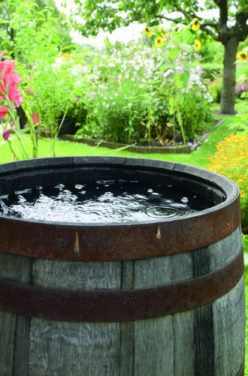 Le tonneau récupérateur d’eau de pluie