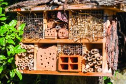 Créer un hôtel à insectes en famille