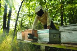 Etre apiculteur