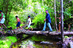 La tribu indienne des sateré mawé et le Warana