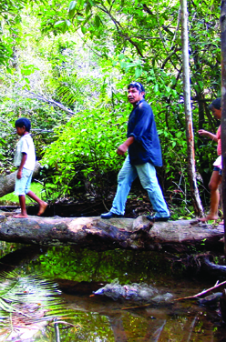 La tribu indienne des sateré mawé et le Warana