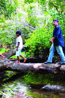 La tribu indienne des sateré mawé et le Warana