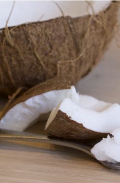Une nouvelle huile santé : l’huile de coco, comment bien la connaître et l’utiliser ?
