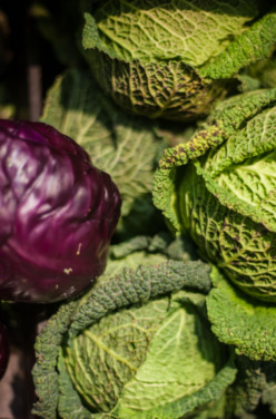 Les fruits et légumes du mois de décembre