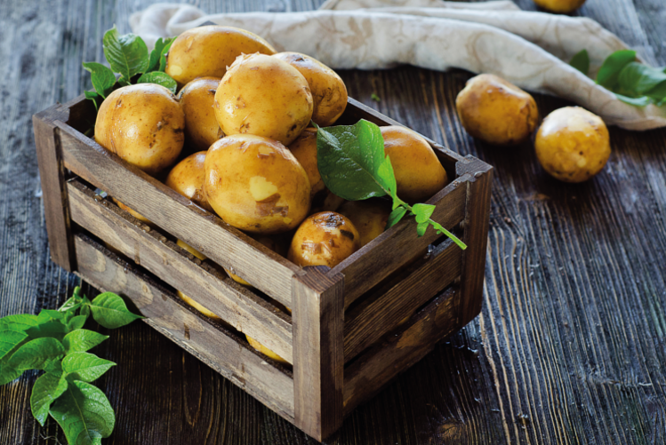 La pomme de terre, le légume le plus consommé dans le monde