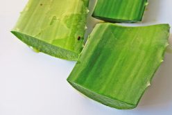 Pourquoi consommer du gel d’aloe vera à boire ?