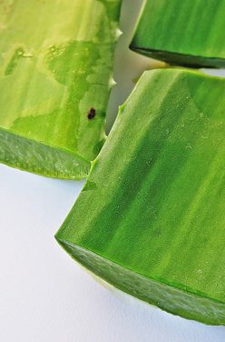 Pourquoi consommer du gel d’aloe vera à boire ?