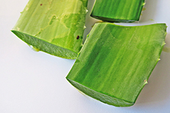 Pourquoi consommer du gel d’aloe vera à boire ?