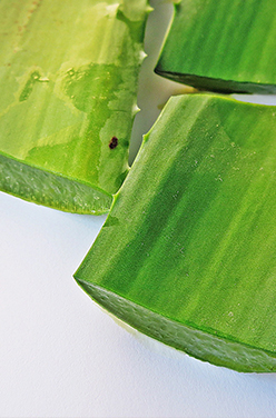 Pourquoi consommer du gel d’aloe vera à boire ?