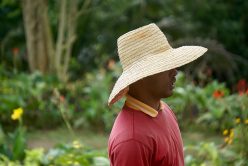 Comment les Cubains ont converti leur île au Bio ?