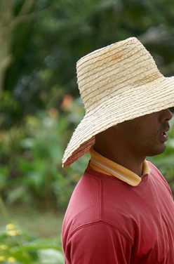 Comment les Cubains ont converti leur île au Bio ?