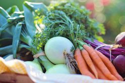 Les légumes primeurs et les fruits du printemps arrivent