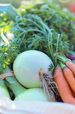 Les légumes primeurs et les fruits du printemps arrivent