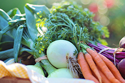 Les légumes primeurs et les fruits du printemps arrivent