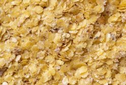Le germe de blé : un concentré de vitalité