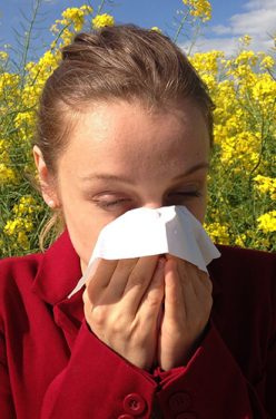 Allergie au pollen : symptômes et remèdes naturels