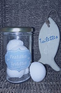 nettoyant-toilettes-ecolo