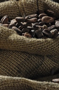 Devenir un expert en chocolat !