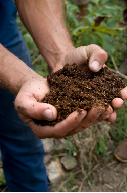 L’occultation, l’astuce pour votre jardin