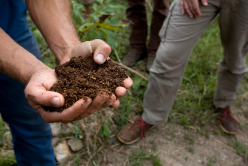 L’occultation, l’astuce pour votre jardin