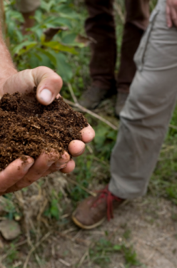 L’occultation, l’astuce pour votre jardin