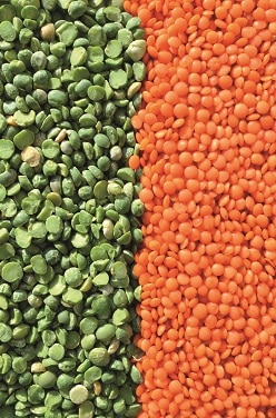 Tout savoir sur les légumineuses