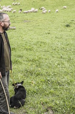 Kerguillet, partenaire des produits à la marque naturéO