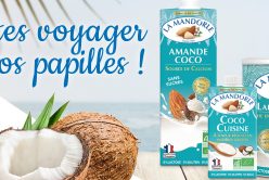 Une cuisine ensoleillée avec les spécialités à la noix de coco de La Mandorle