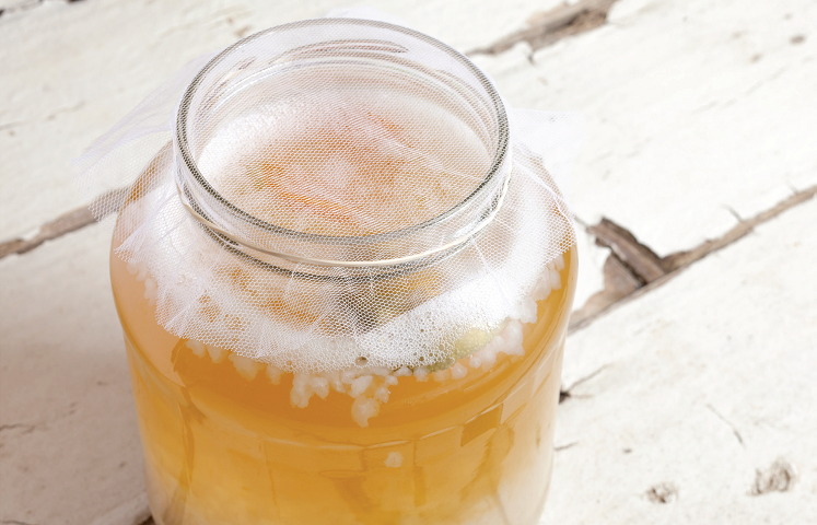 Kéfir, kombucha… quels sont les bienfaits des boissons fermentées