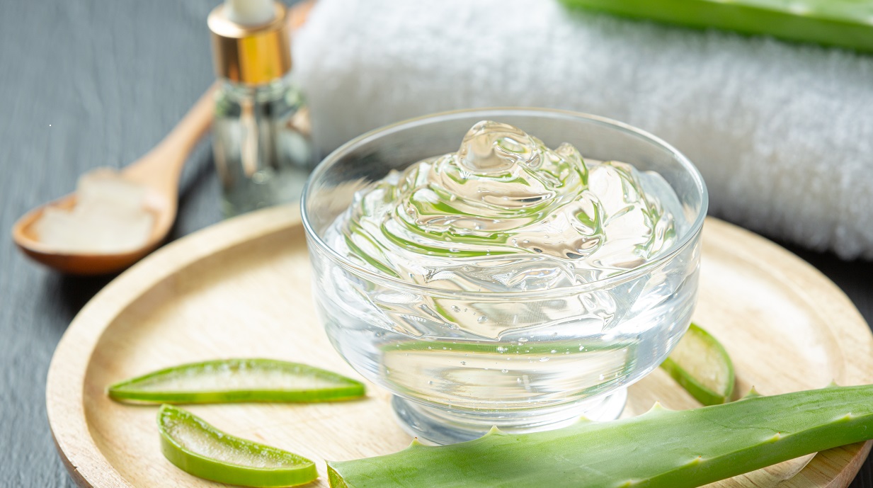 Cet hiver, intégrez l’aloe vera dans votre quotidien !