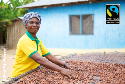Le cacao bio et équitable : meilleur pour les producteurs et pour la planète
