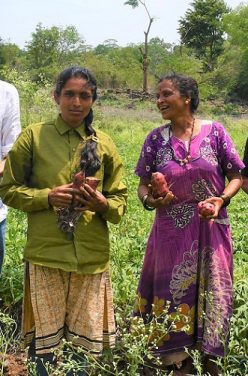 Découvrez les Farines d’Ecoidées