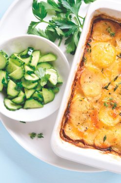 Gratin de concombre