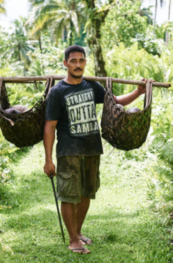 La noix de coco équitable, l’incontournable de votre été !