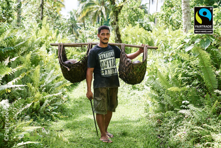 La noix de coco équitable, l’incontournable de votre été !