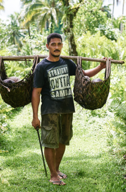La noix de coco équitable, l’incontournable de votre été !