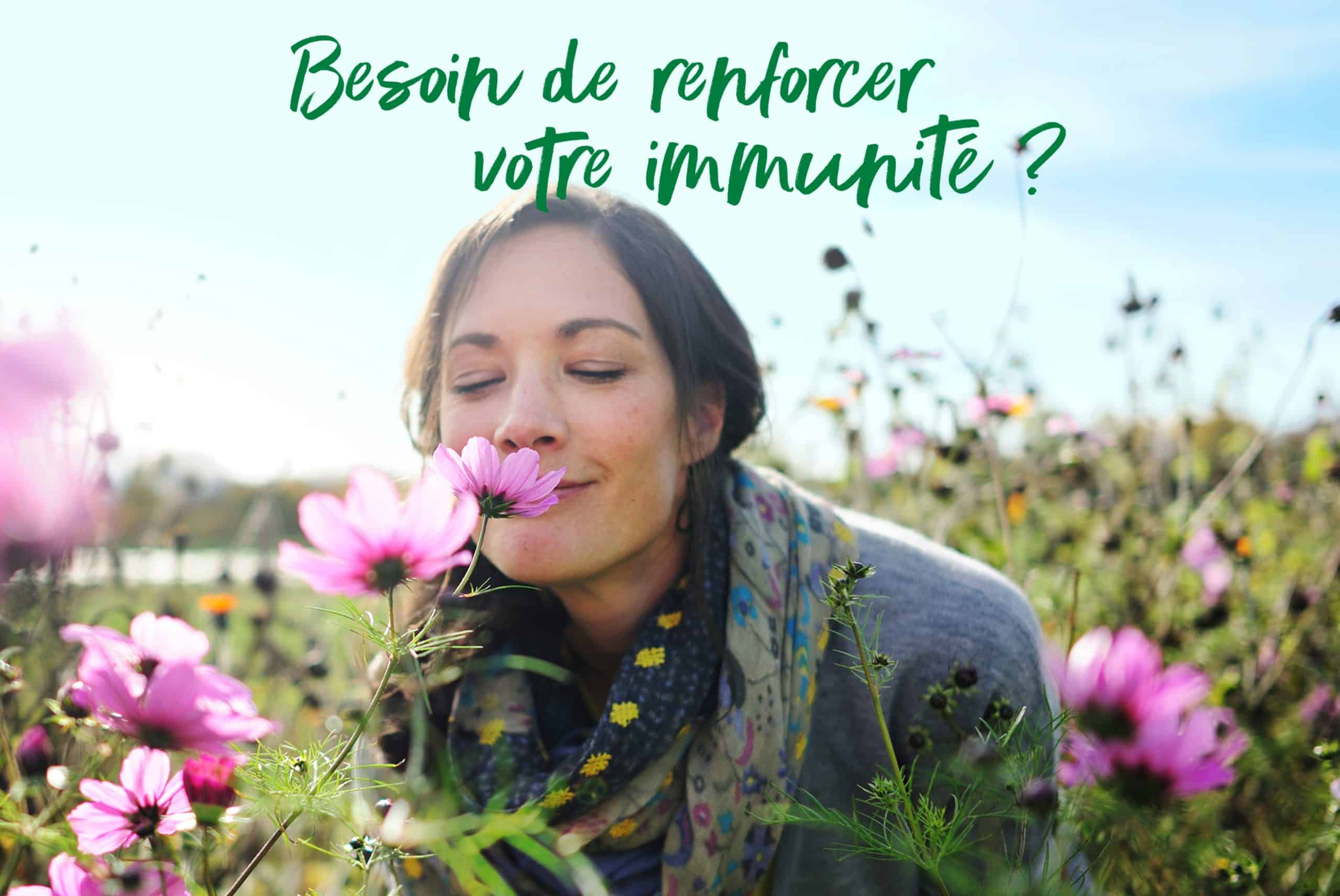 L’Echinacea, la fleur qui veille sur vos défenses naturelles