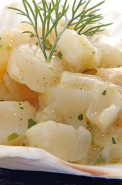 SAINT-JACQUES POÊLÉES SAUCE COCO-CITRON VERT