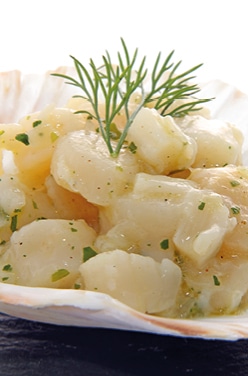 SAINT-JACQUES POÊLÉES SAUCE COCO-CITRON VERT